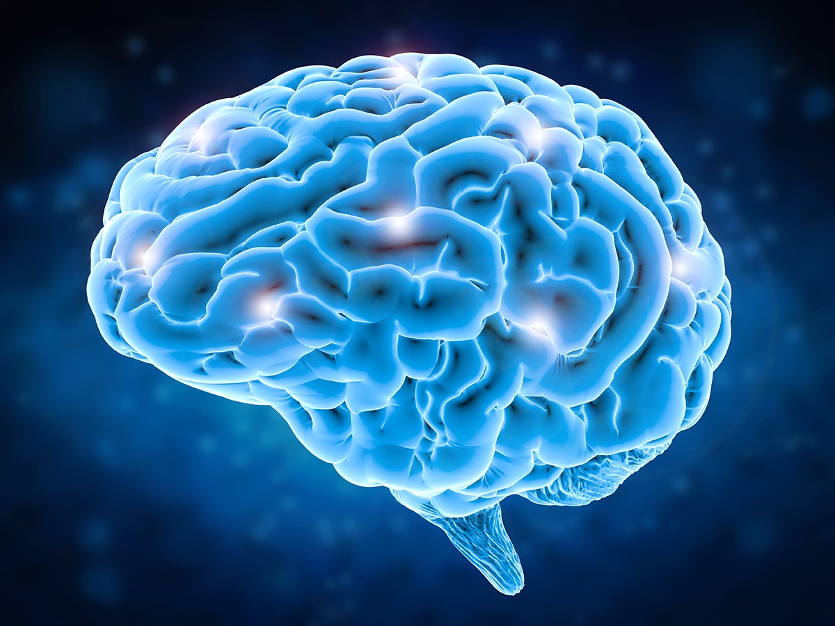 Study Examines the Brain's Response to Bionic Limb Use